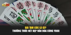 Bài Tam Cúc Là Gì? Thưởng Thức Nét Đẹp Văn Hóa Cùng YO88