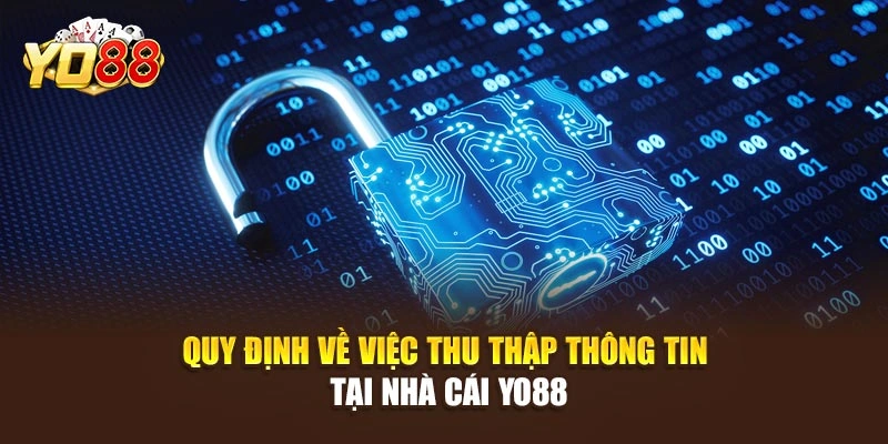 Quy định về việc thu thập thông tin tại nhà cái YO88